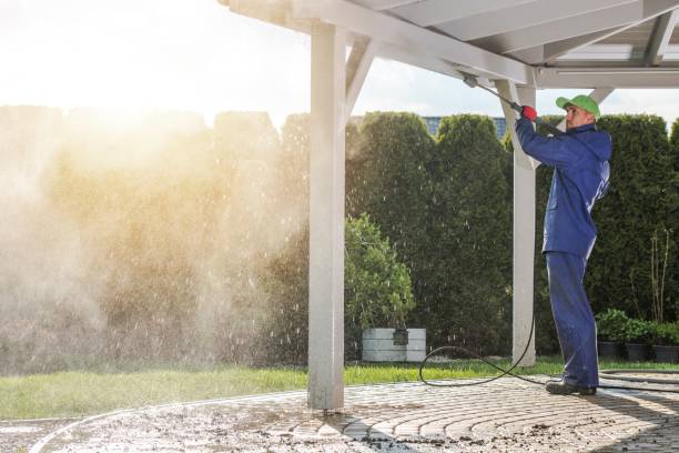 Animal Enclosure Cleaning in Shandon, CA