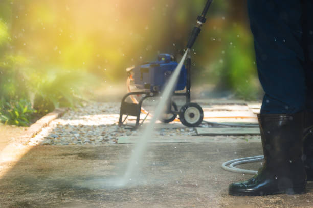 Best Solar Panel Cleaning  in Shandon, CA